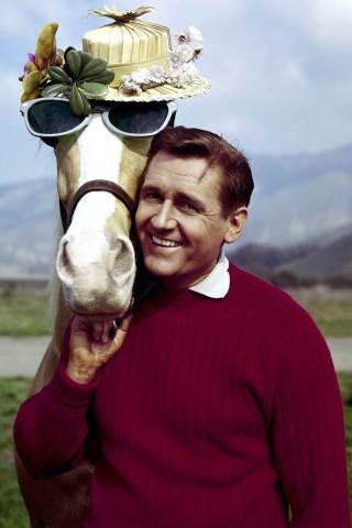 Alan Young Height, Weight, Shoe Size